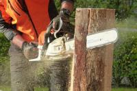 Blacktown Tree Services image 7